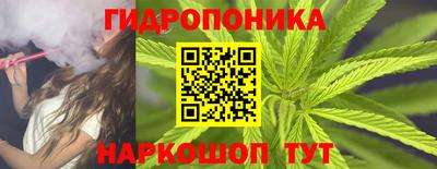гашик Бузулук