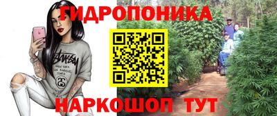гашик Бузулук